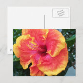 Hibiscus Briefkaart (Voorkant / Achterkant)