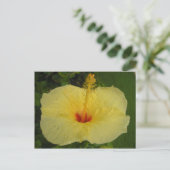 Hibiscus Briefkaart (Staand voorkant)