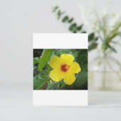 Hibiscus Briefkaart (Staand voorkant)