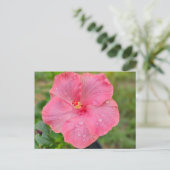 Hibiscus Briefkaart (Staand voorkant)