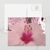 Hibiscus Briefkaart (Voorkant / Achterkant)