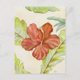 Hibiscus briefkaart