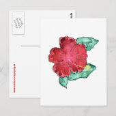 Hibiscus Briefkaart (Voorkant / Achterkant)