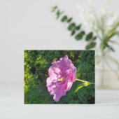 Hibiscus Briefkaart (Staand voorkant)