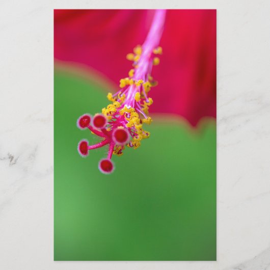 hibiscus briefpapier (Voorkant)