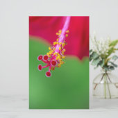 hibiscus briefpapier (Staand voorkant)