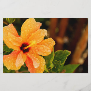 Hibiscus Briefpapier