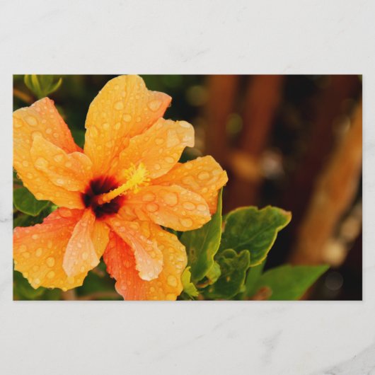 Hibiscus Briefpapier (Voorkant)