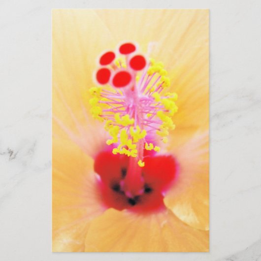 Hibiscus Briefpapier (Voorkant)