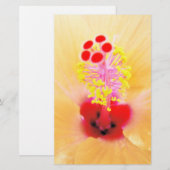 Hibiscus Briefpapier (Voorkant / Achterkant)