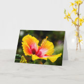 Hibiscus Bright Yellow met rood hart Kaart (Gele Bloem)