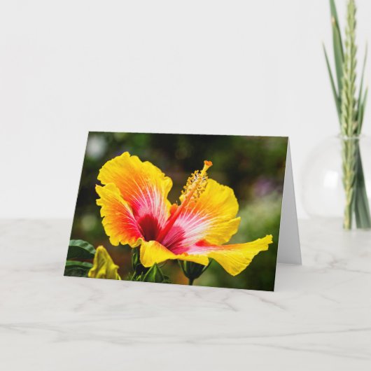 Hibiscus Bright Yellow met rood hart Kaart (Voorkant)