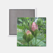 Hibiscus Buds Magnet (Voorkant / Achterkant)
