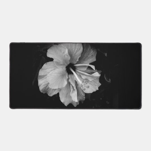 Hibiscus Bureaumat (Voorkant)