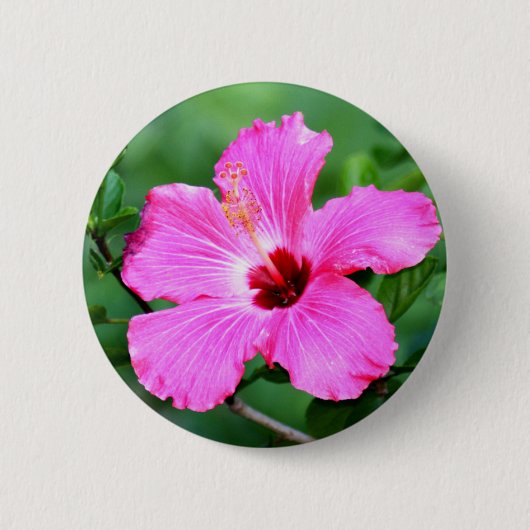 Hibiscus Button (Voorkant)