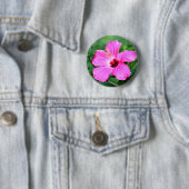 Hibiscus Button (In situ)