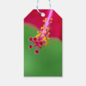 hibiscus cadeaulabel (Voorkant)