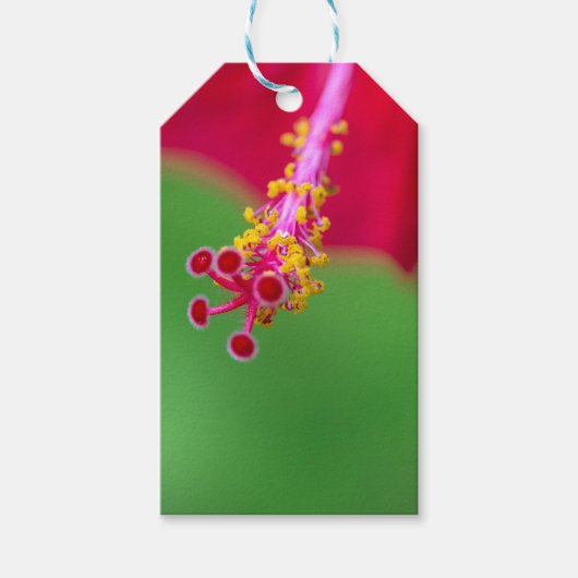 hibiscus cadeaulabel (Voorkant)