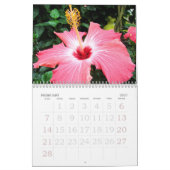 Hibiscus Calendar Kalender (Feb 2027)