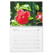 Hibiscus Calendar Kalender (Jan 2027)