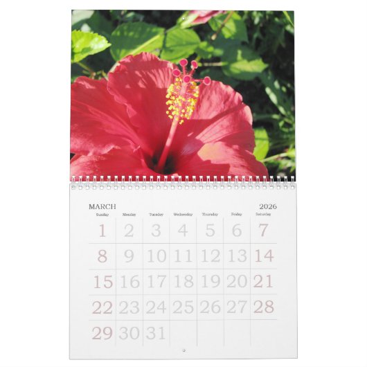 Hibiscus Calendar Kalender (Mar 2026)