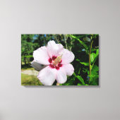 Hibiscus Canvas Afdruk (Voorkant)