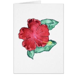 Hibiscus Cards