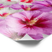 Hibiscus - Chinees Roos ventilator Foto Afdruk (Hoek)