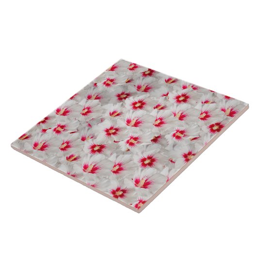 Hibiscus - Chinees Roos ventilator Tegeltje (Zijkant)