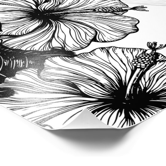 Hibiscus en kolibrie foto afdruk (Hoek)