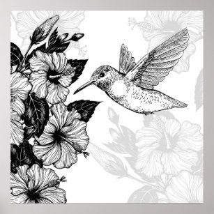 Hibiscus en kolibrie poster