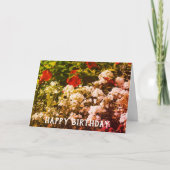 Hibiscus en Phlox  Birthday Kaart (Voorkant)