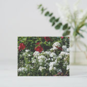 Hibiscus En Phlox Bloementuin Persoonlijk Briefkaart (Staand voorkant)