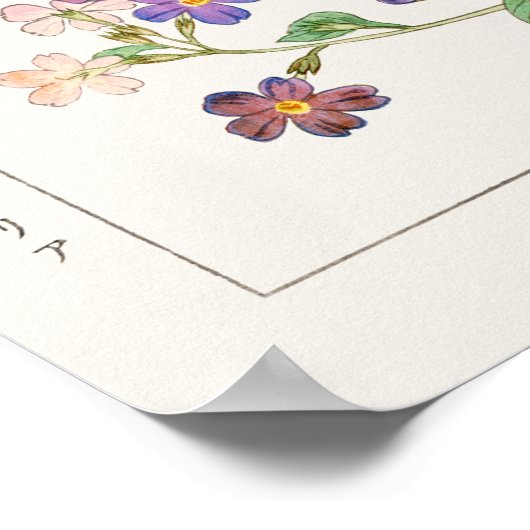 Hibiscus en Struik Violet, Konan, Natuur Art Poster (Hoek)