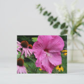 Hibiscus En Vrienden Bloementuin Fotografie Briefkaart (Staand voorkant)