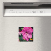Hibiscus En Vrienden Bloementuin Magneet (Insitu (Vaatwasser))