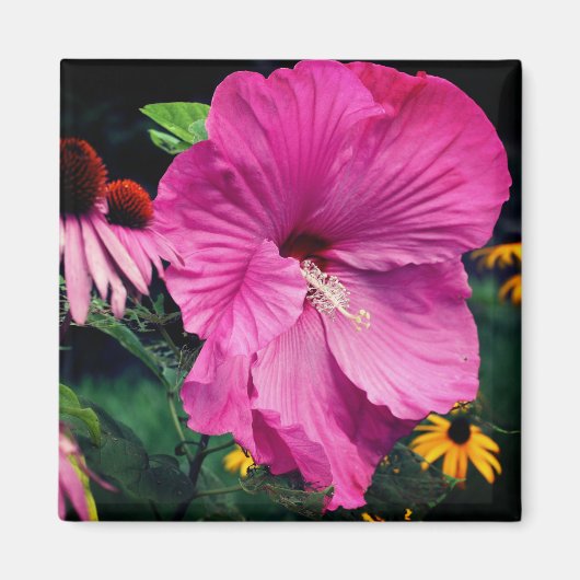 Hibiscus En Vrienden Bloementuin Magneet (Voorkant)