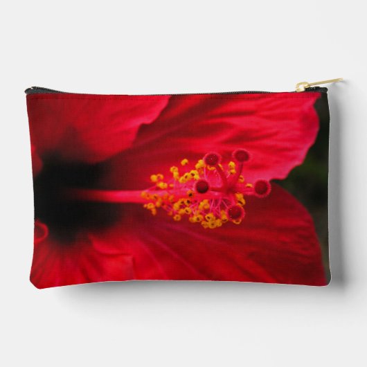 Hibiscus Etui (Achterkant)