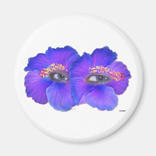 Hibiscus Eyes - Blue Magneet (Voorkant)