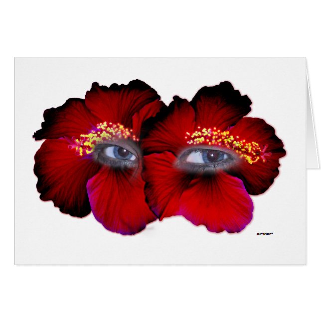 Hibiscus Eyes - Rood en zwart (Voorkant Horizontaal)