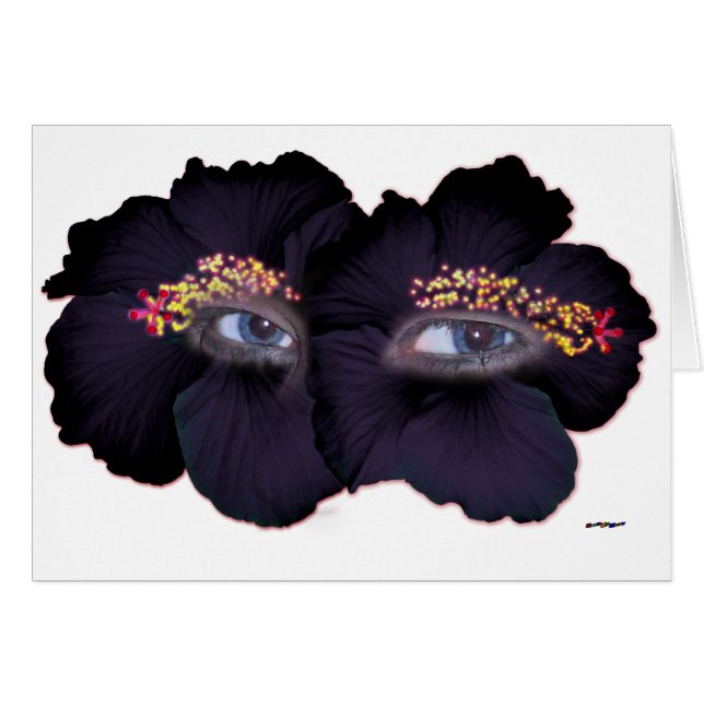 Hibiscus Eyes - zwart/Paars (Voorkant Horizontaal)