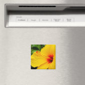 Hibiscus felgeel magneet (Insitu (Vaatwasser))