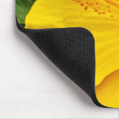 Hibiscus felgeel muismat (Hoek)