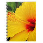 Hibiscus felgeel notitieboek (Voorkant)