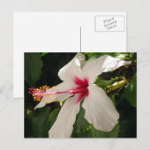 Hibiscus Floral Briefkaart (Voorkant / Achterkant)