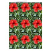 Hibiscus floral card (Voorkant)