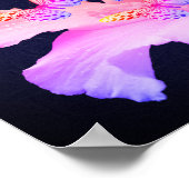 Hibiscus flower and Colorful Butterflies on Black Poster (Hoek)