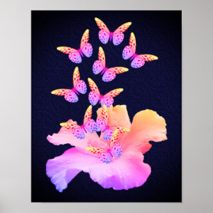 Hibiscus flower and Colorful Butterflies on Black Poster