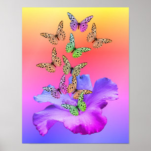 Hibiscus flower and Colorful Butterflies Poster