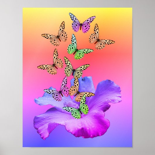 Hibiscus flower and Colorful Butterflies Poster (Voorkant)